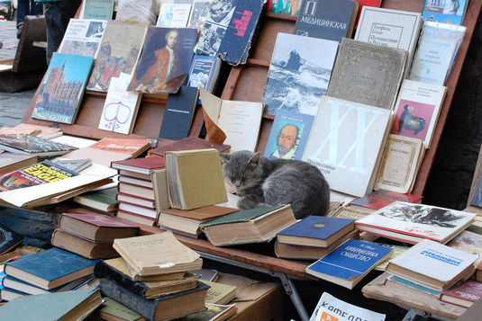 Auf dem Bücherflohmarkt von L'viv